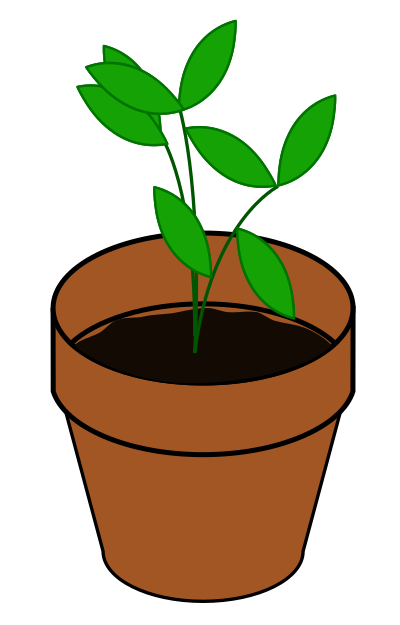 PlantTerracotta