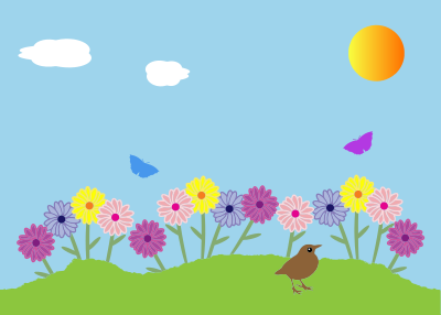 Summer Garden Flowers