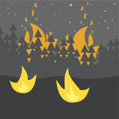 night forest fire