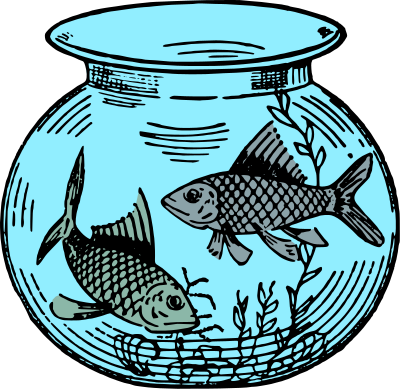 fishtanktwofish 1917 color