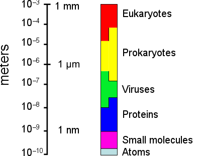 Relative Scale