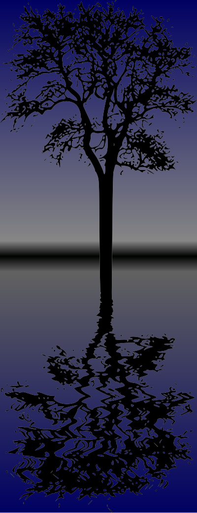 tree reflection334205