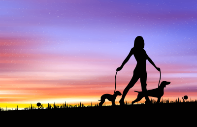 woman walking dogs at sunset remix