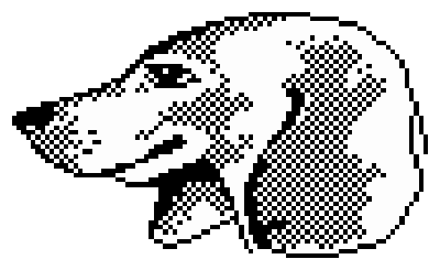 minipix dog1