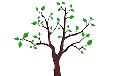 Sparse Foliage Tree