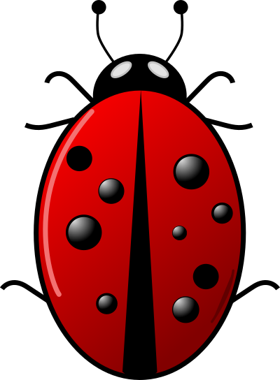 ladybug 2