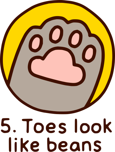 pusheen paw 5. toes look like beans