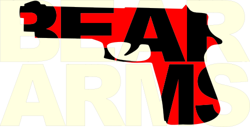 bear arms3