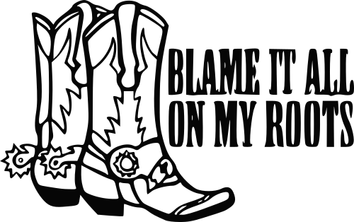 blame it all on my roots