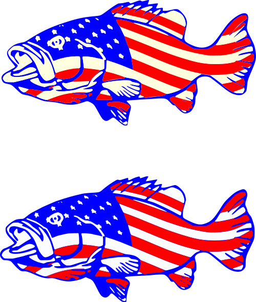 flag styled fish