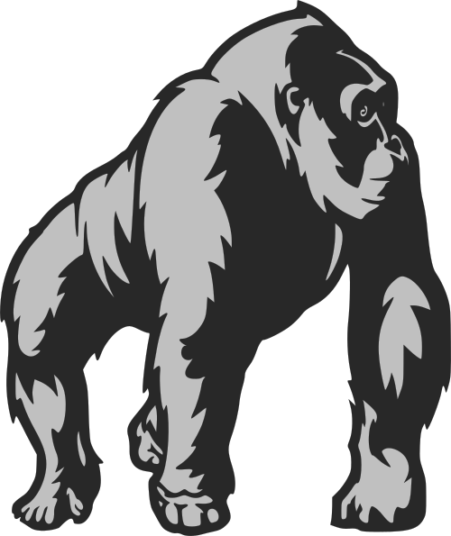 silverback