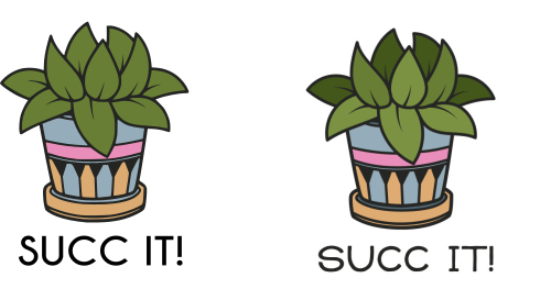 succulents cactus cacti succ it