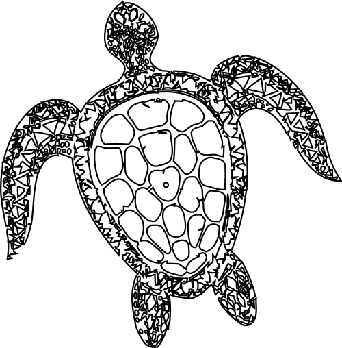 turtle mandala