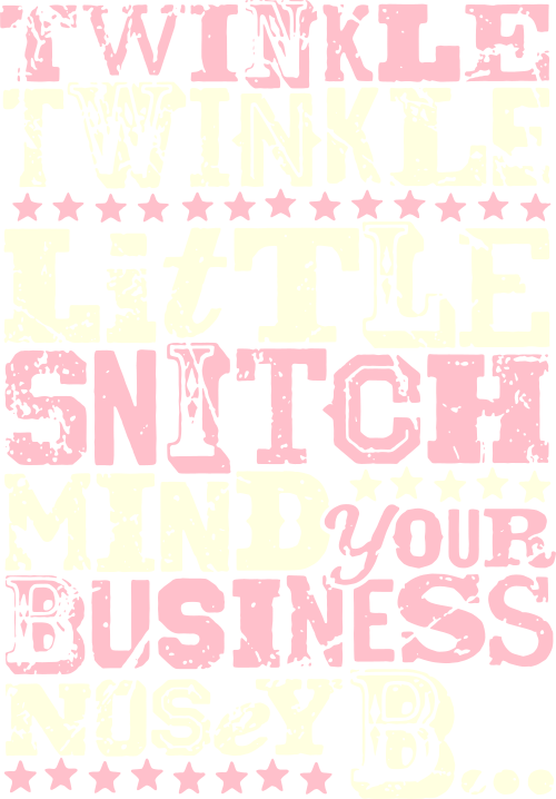twinkle twinkle little snitch mind your business nosey bitch