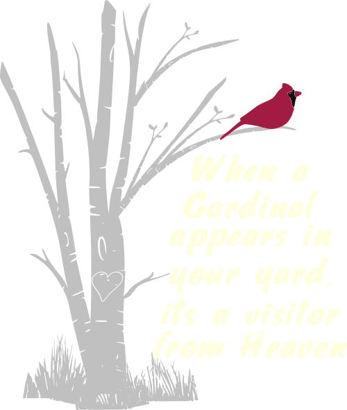 when a cardinal
