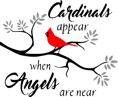 cardinals appear when angles are near