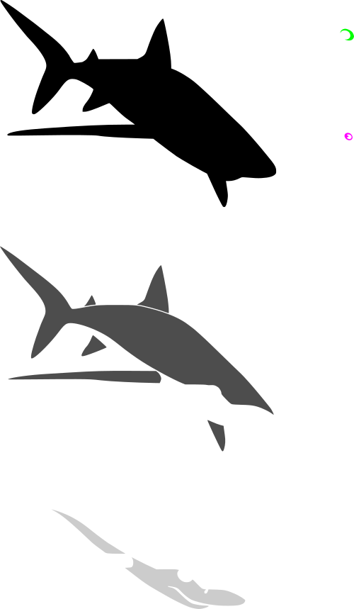shark2