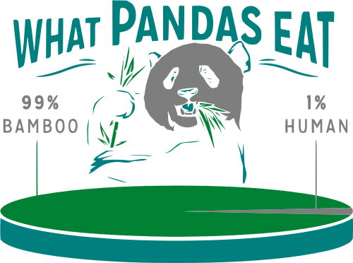 what pandas eat