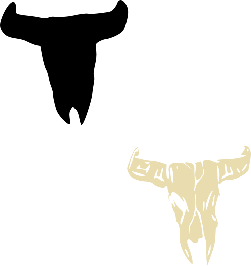 cow skull