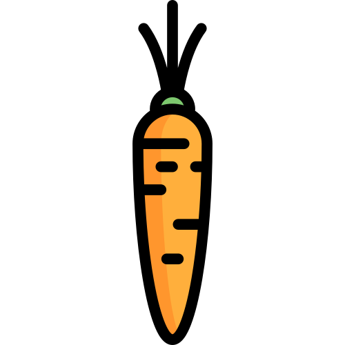 carrot vegetable 2