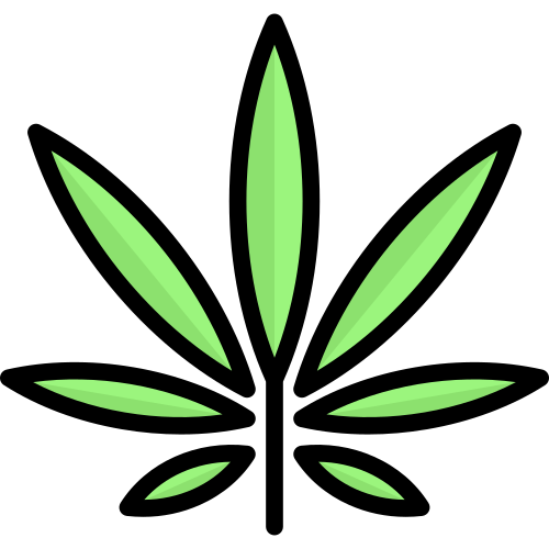 cannabis weed