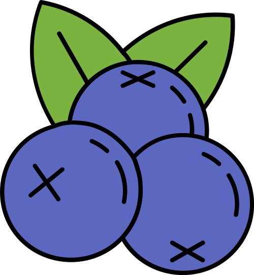 blueberries fruit