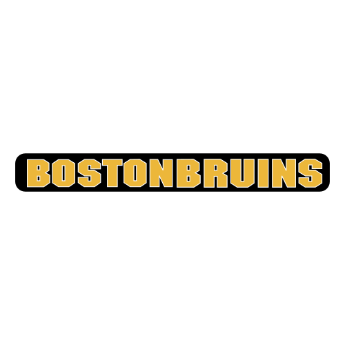 boston bruins