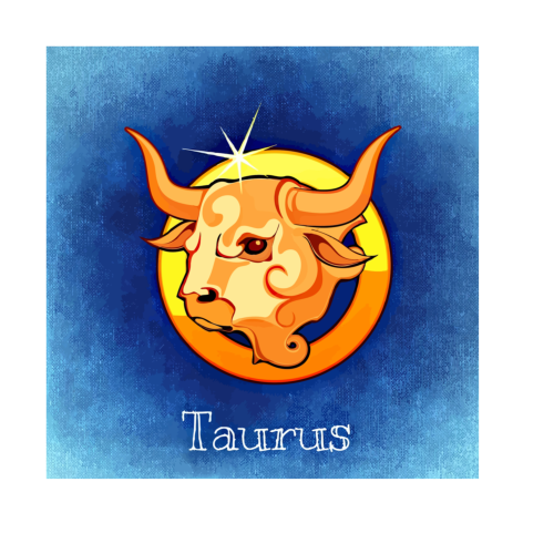 Taurus Drawing 2