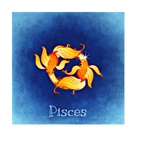 Pisces Drawing 2