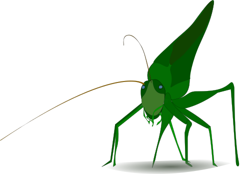emeza grasshopper