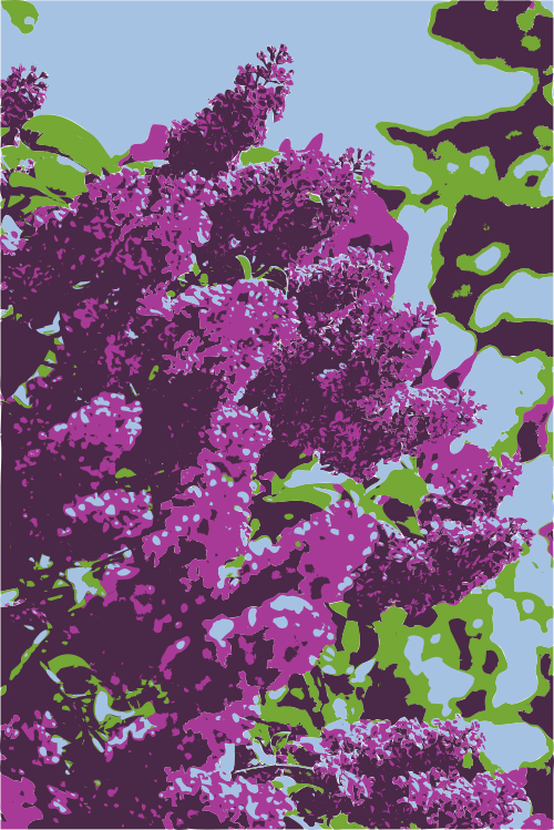 lilac 4 colors