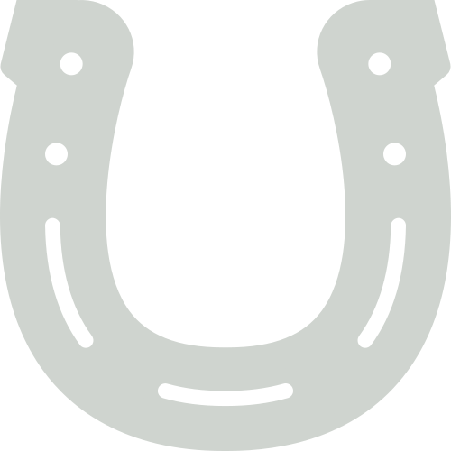 horseshoe