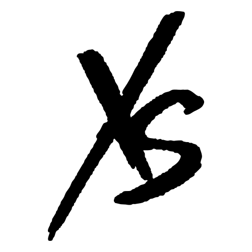 xs logo