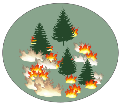 forest fire remix