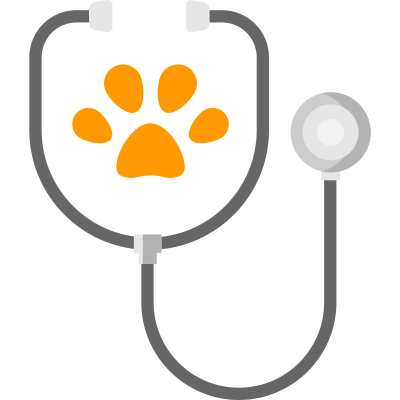 stethoscope doctor 1