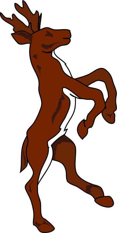 Stag2