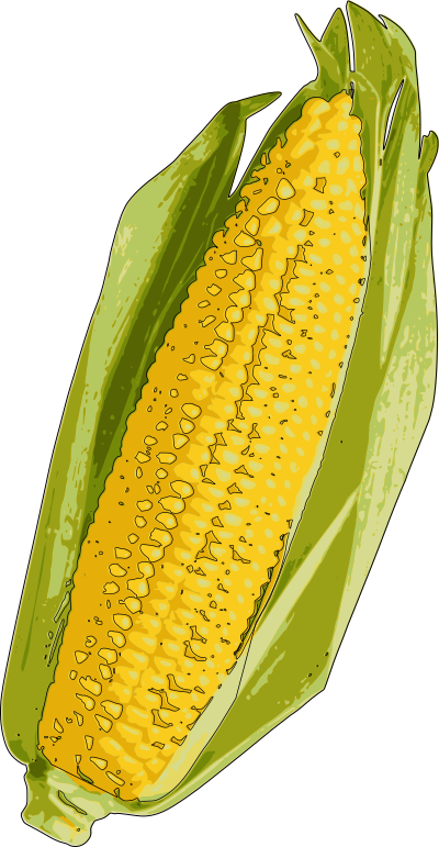 corn 20