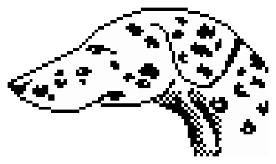 minipix dog3