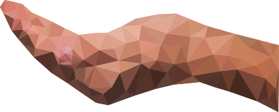low poly cupping hand horizontal