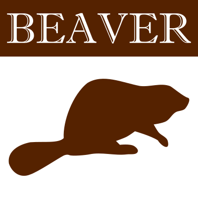 Beaver Square Icon