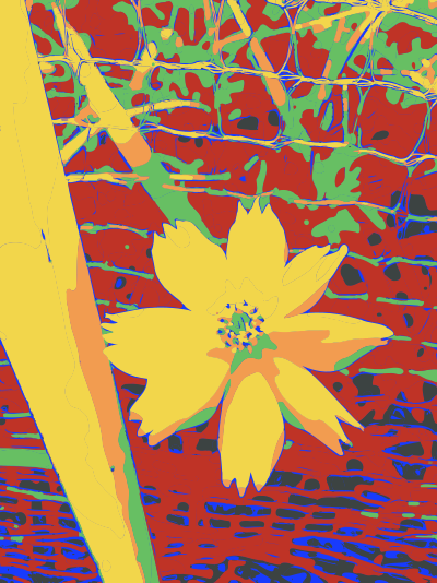 yellowflowerthing