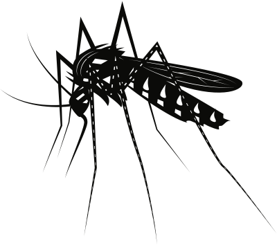 mosquito 1
