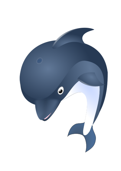 dolphin 15