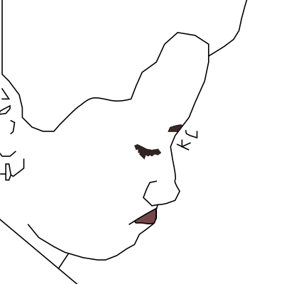 ksusha