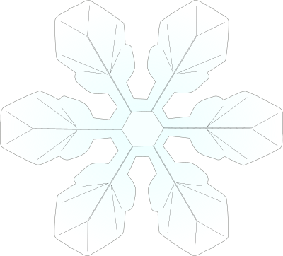snowflake1