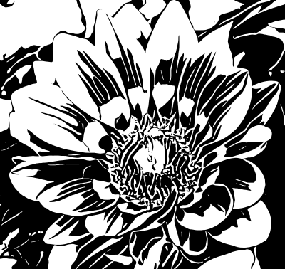 abflower9