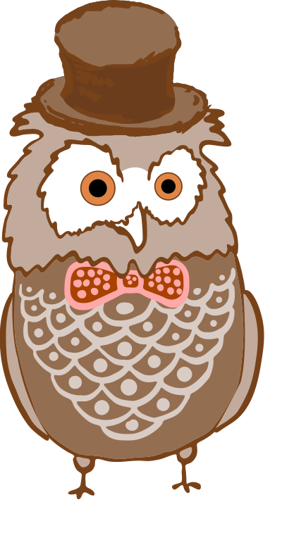 owl with hat and bow