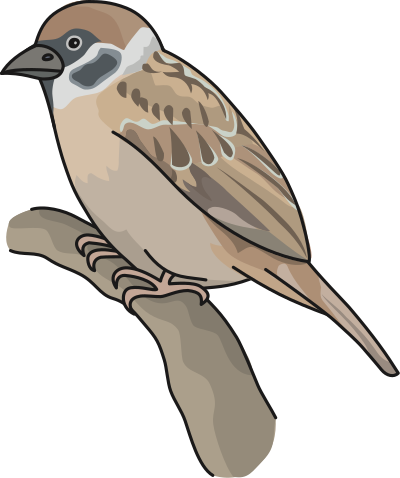 sparrow 0035040rqqtfl