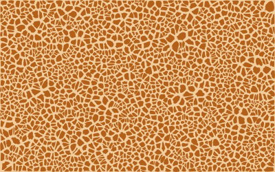 Giraffe Skin Pattern Design