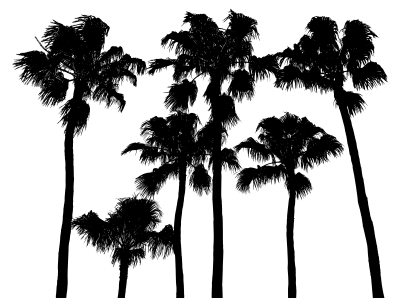 1554503066